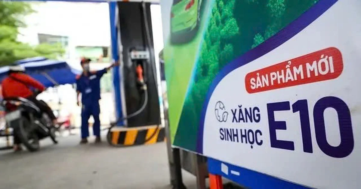 Nghị quyết 29: Tháo gỡ nút thắt hạ tầng, định hình cấu trúc thị trường xăng E10