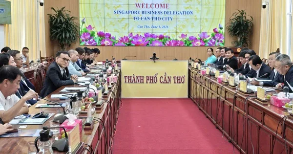 Dòng vốn Singapore tại Cần Thơ: Câu chuyện tín hiệu chính sách và tác động lan tỏa đến thị trường vùng