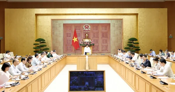 Thực hiện Công điện 38: Từ cuộc chiến bản quyền nhìn về rủi ro pháp lý và chi phí vận hành doanh nghiệp