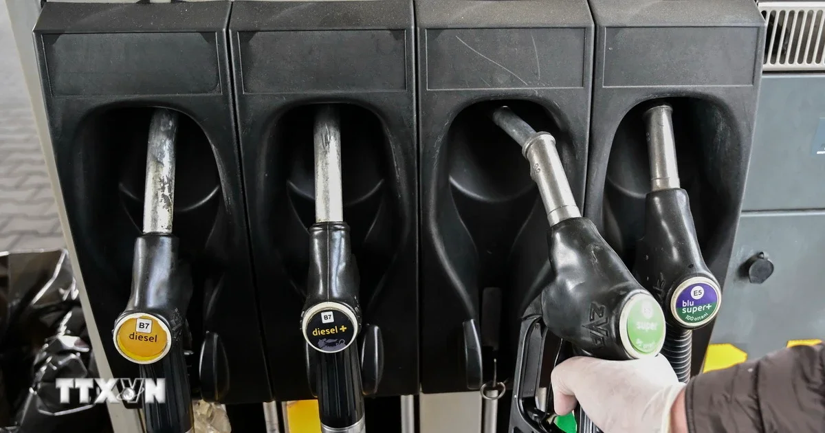 Ấn Độ miễn thuế tiêu thụ đặc biệt xăng ethanol tỷ lệ cao: Tín hiệu điều chỉnh chính sách năng lượng sinh học