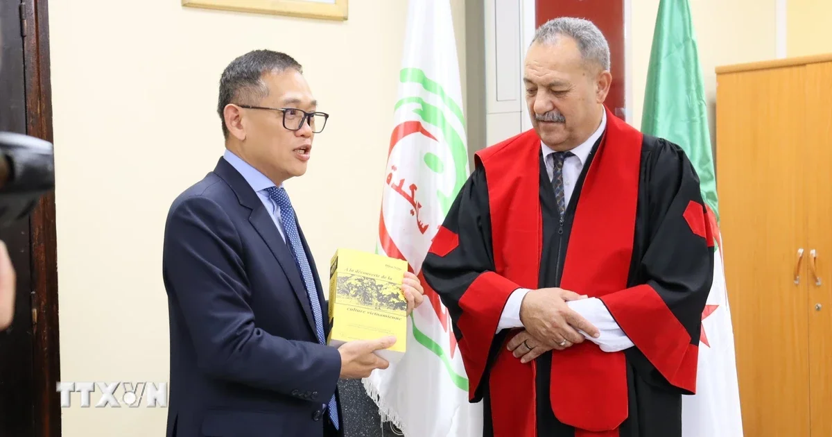 Từ chuyến công tác Gia Lai – Skikda: Nhìn nhận dòng chảy thương mại nông sản Việt Nam – Algeria dưới góc nhìn vĩ mô