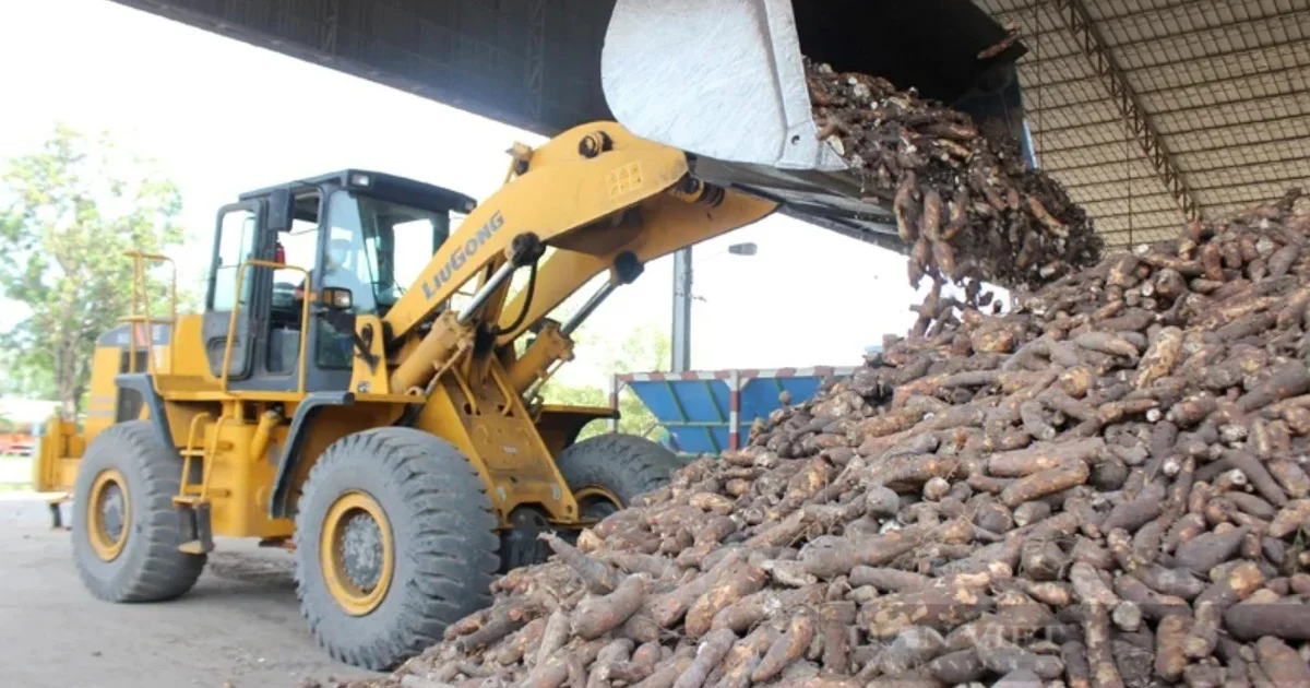 Từ lộ trình xăng E10: Nhìn về áp lực dòng tiền và cấu trúc vùng nguyên liệu ethanol tỷ đô