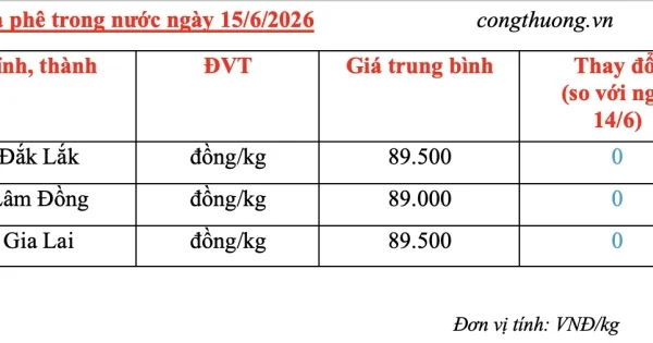 Giá cà phê ngày 15/6/2026: Áp lực nguồn cung và kỳ vọng sản lượng Brazil định hình xu hướng