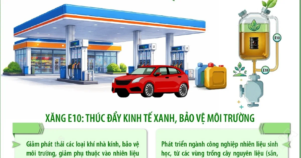 Từ lộ trình xăng E10 toàn quốc: Nhìn về áp lực lưu thông và nguồn cung tại Tây Ninh