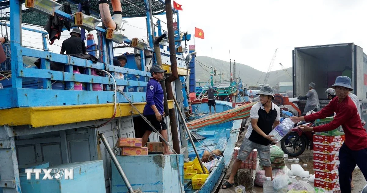 Giá dầu hạ nhiệt: Từ câu chuyện ngư dân Gia Lai nhìn về áp lực chi phí vận hành và tái khởi động sản xuất hàng hóa