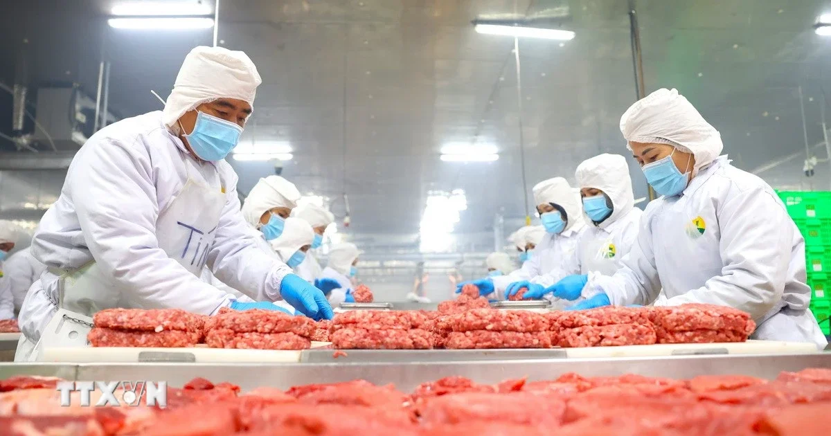 Thị trường Halal: Dư địa 10.000 tỷ USD và bài toán tái cấu trúc chuỗi cung ứng cho doanh nghiệp Việt