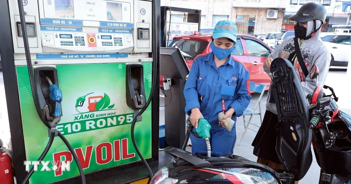 Kỳ điều hành giá xăng dầu 11/6: Áp lực chi phí năng lượng giảm nhờ động thái trích lập Quỹ Bình ổn