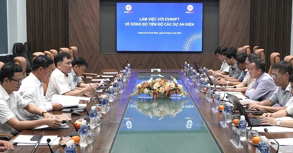EVNNPT và EVNSPC phối hợp đồng bộ tiến độ các dự án lưới điện: Tín hiệu cho dòng vốn đầu tư hạ tầng năng lượng phía Nam