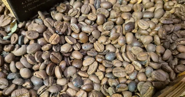 Mưa tại Brazil thổi bùng giá cà phê: Áp lực nguồn cung ngắn hạn và tín hiệu từ dòng tiền hàng hóa