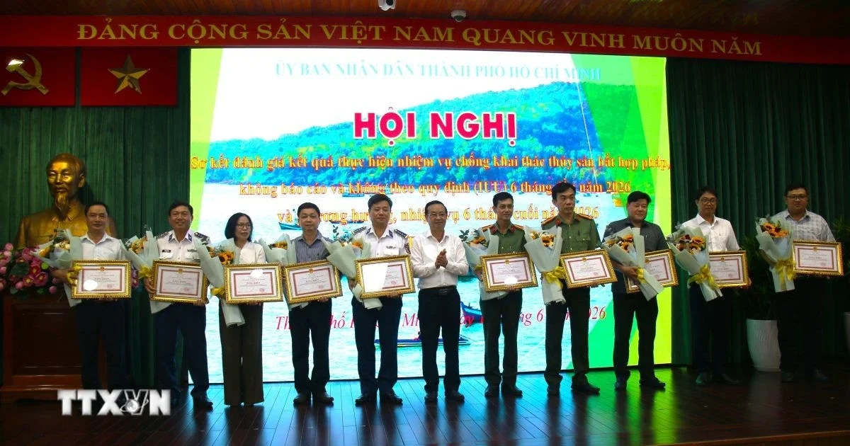 TP.HCM siết quản lý tàu cá: Từ lệnh cấm IUU đến áp lực điều chỉnh dòng vốn ngành thủy sản