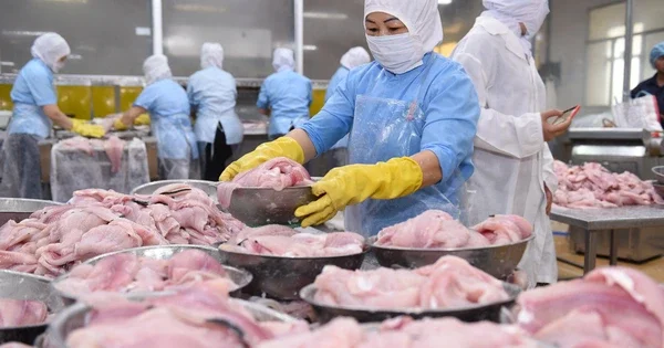 Xuất khẩu Việt Nam 2026: Mục tiêu 546-550 tỉ USD và những tín hiệu từ 5 tháng đầu năm