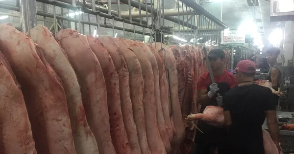Giá heo hơi giảm mạnh: Áp lực cung vượt cầu và tín hiệu điều chỉnh từ chuỗi cung ứng thịt heo