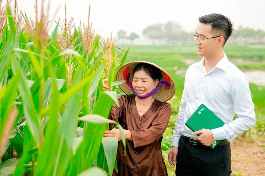 Bảo hiểm nông nghiệp Việt Nam: Từ lưới an sinh đến hạ tầng tín dụng xanh – Góc nhìn rủi ro hệ thống
