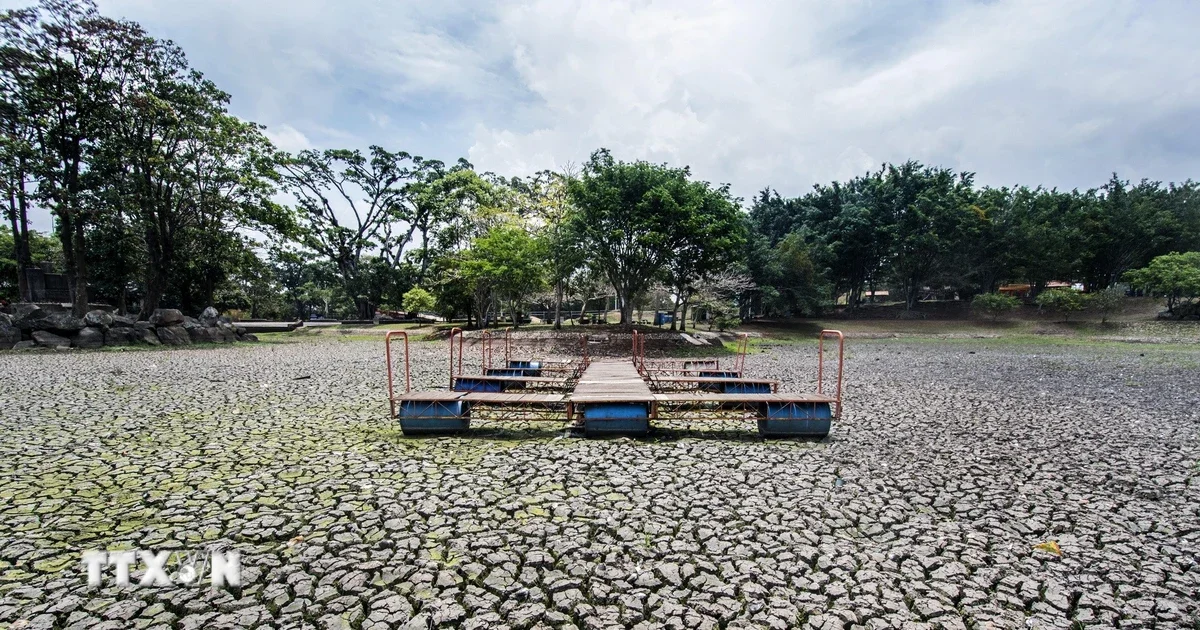 El Nino và rủi ro chuỗi cung ứng: Áp lực giá hàng hóa từ năng lượng đến nông sản