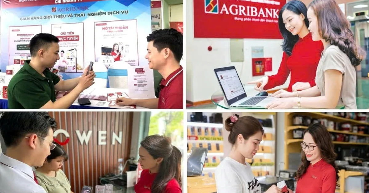 Mô hình Tổ vay vốn Agribank: Kênh dẫn vốn chính thức vào 'tam nông' và tác động đến dòng tiền khu vực nông thôn