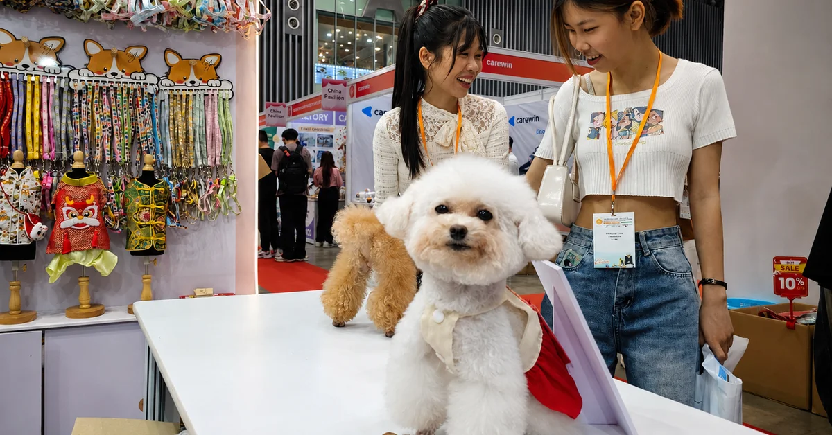 Boss mèo và phòng vệ sinh có camera AI: Từ tiện ích thú cưng đến mảnh ghép công nghệ trong chi tiêu hộ gia đình