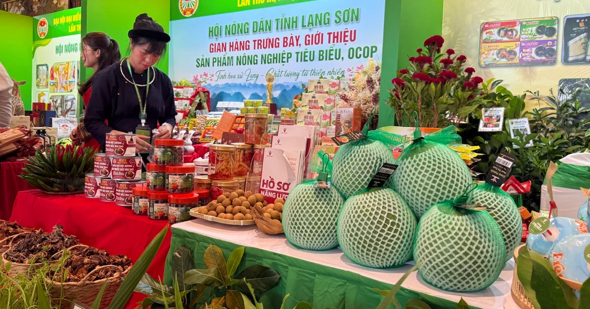 Từ Hệ thống truy xuất nguồn gốc nông sản nhìn về áp lực chi phí tuân thủ và lợi thế cạnh tranh của Việt Nam
