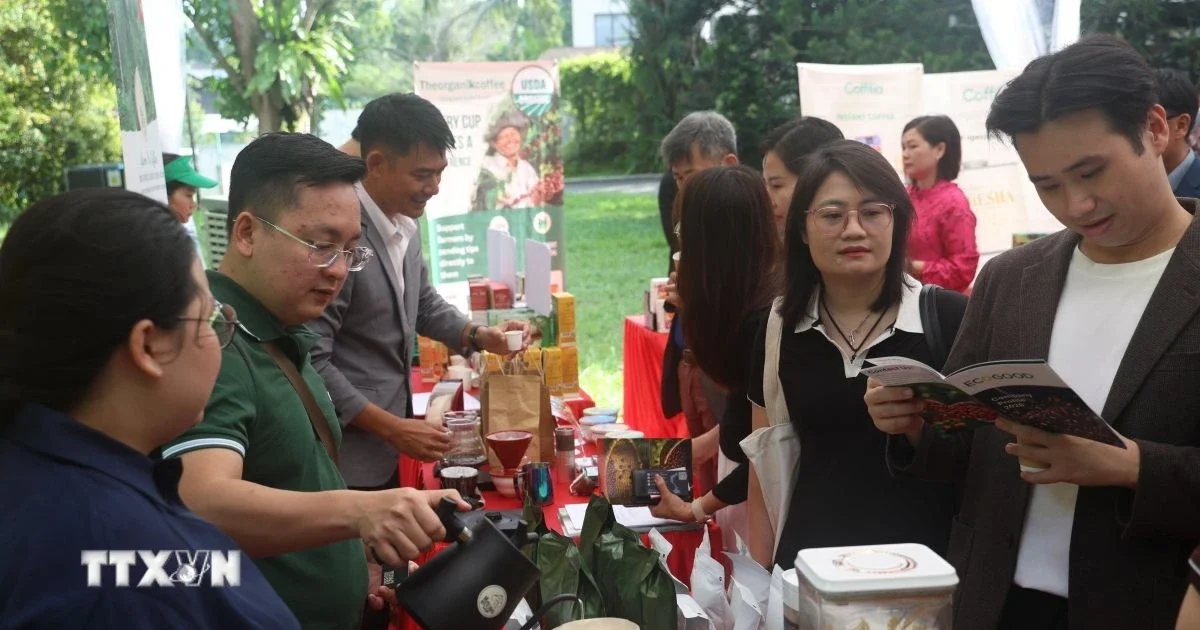 Lễ hội Cà phê Việt Nam tại Singapore 2026: Chiến lược nâng tầm chuỗi giá trị từ sản lượng thô sang thương hiệu toàn cầu