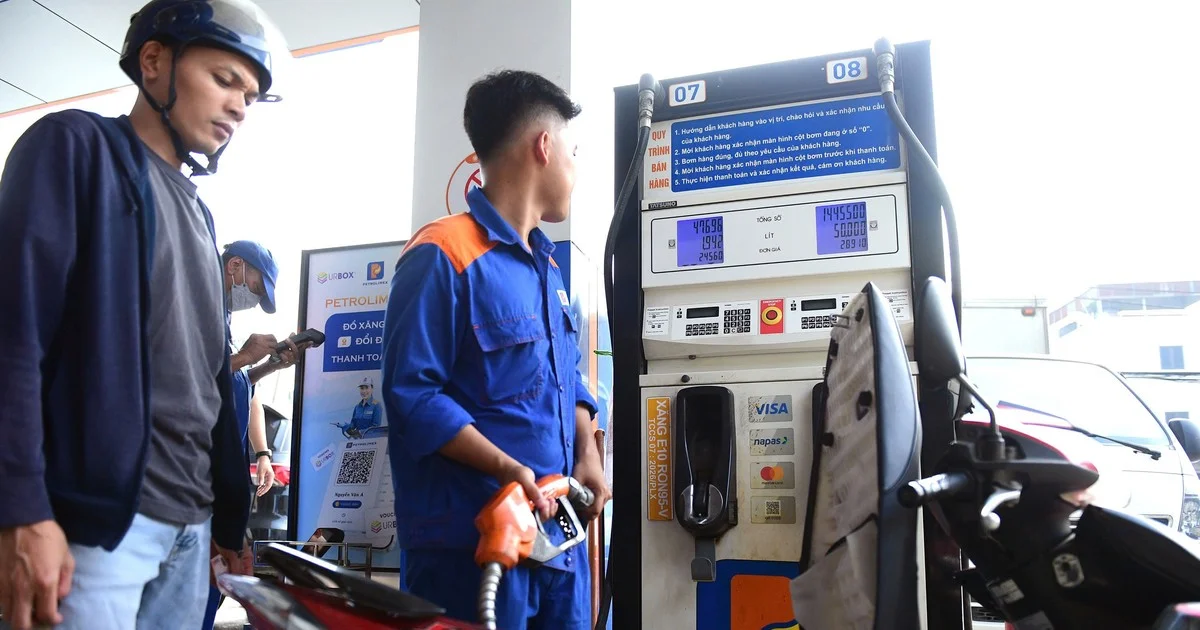 Từ danh mục xe tương thích E10: Tác động đến thị trường nhiên liệu và chi phí vận hành