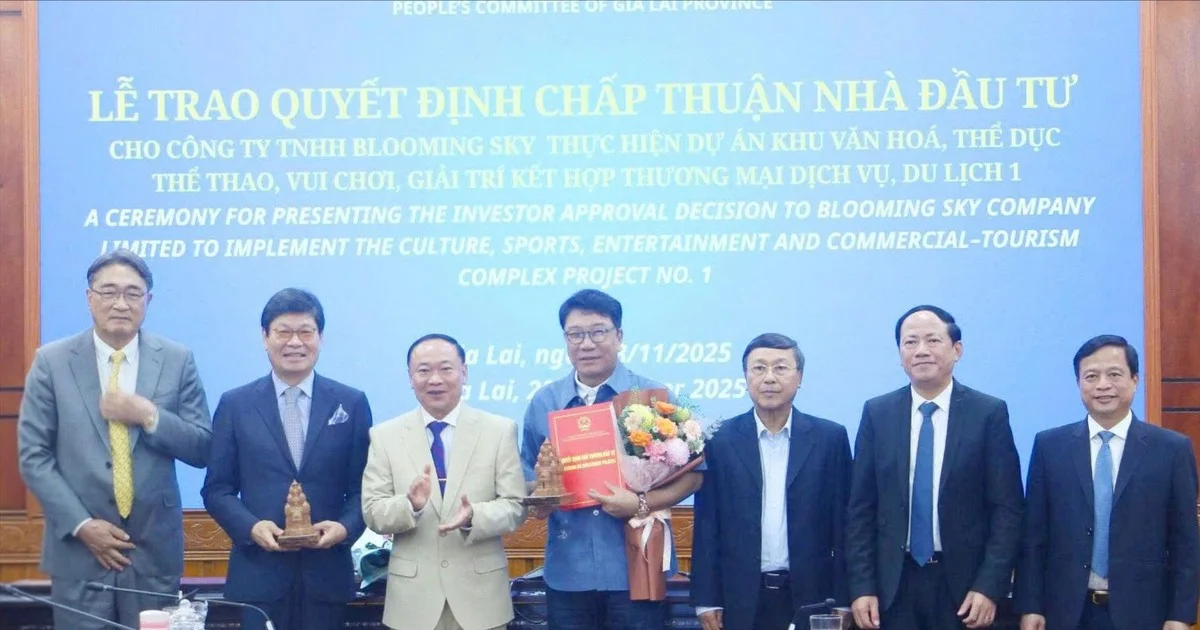 Chuyển đổi gần 200 ha rừng làm siêu dự án du lịch tại Gia Lai: Bài toán chi phí cơ hội và dòng vốn dài hạn