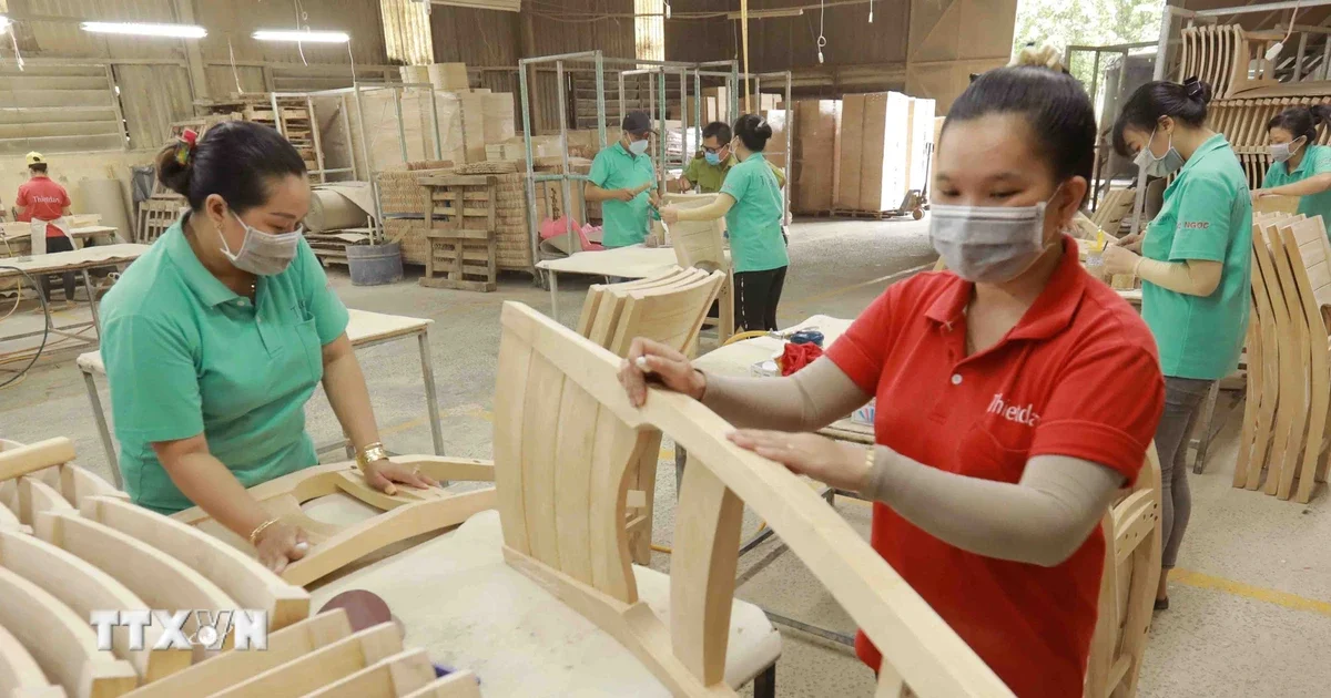 Từ chiến lược lâm sản ngoài gỗ của Thái Nguyên: Nhìn về cơ hội chuỗi giá trị và áp lực giá nguyên liệu