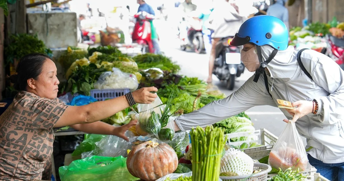 Giá rau củ tăng 20-25% tại TP.HCM: Tác động chuỗi cung ứng hàng hóa và tín hiệu chi phí đầu vào