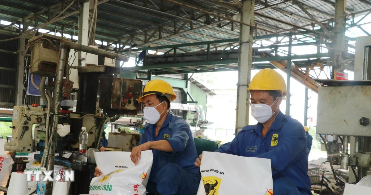 Chiến lược ứng phó gián đoạn chuỗi cung ứng phân bón: Từ hiện tượng đến áp lực chi phí và bài toán quản trị rủi ro