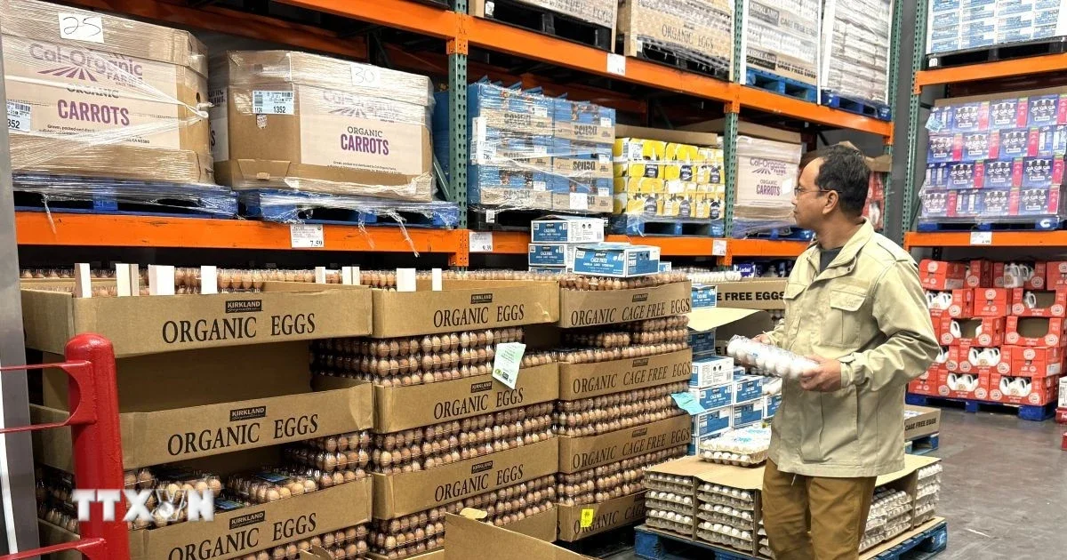 CPI Mỹ tháng 5/2026 tăng 4,2%: Xung đột Trung Đông đẩy giá năng lượng và áp lực lên Fed