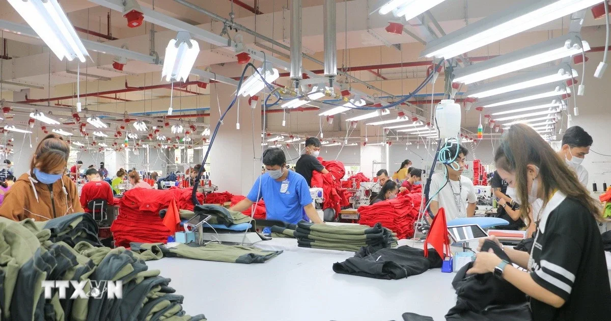 Từ câu chuyện doanh nghiệp nhỏ và vừa: Nhìn về áp lực tăng trưởng và dòng vốn nội địa