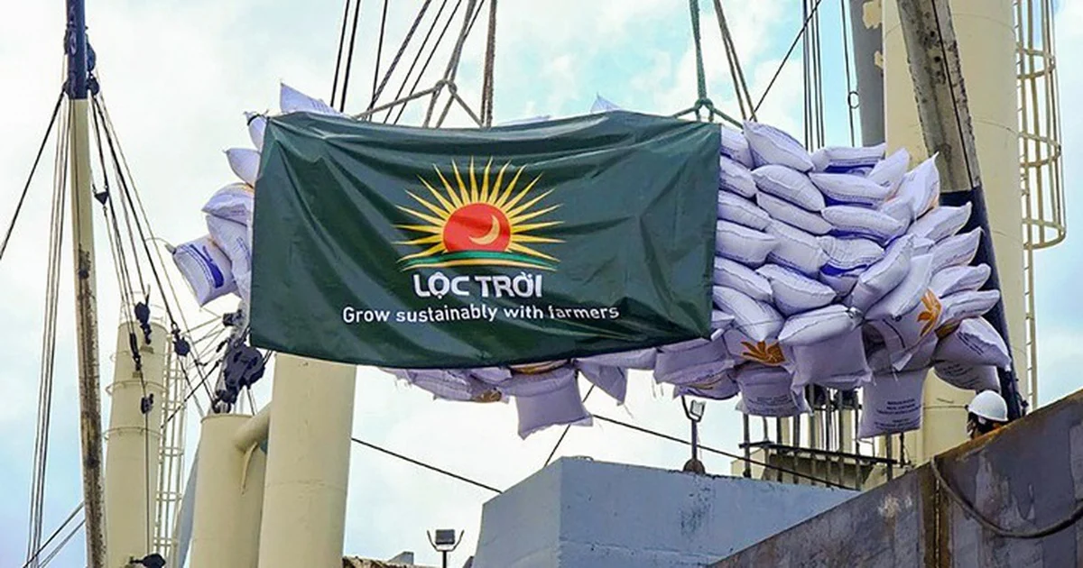 Áp lực tuân thủ niêm yết: Từ án đình chỉ LTG và RDP nhìn về rủi ro thanh khoản trên HNX