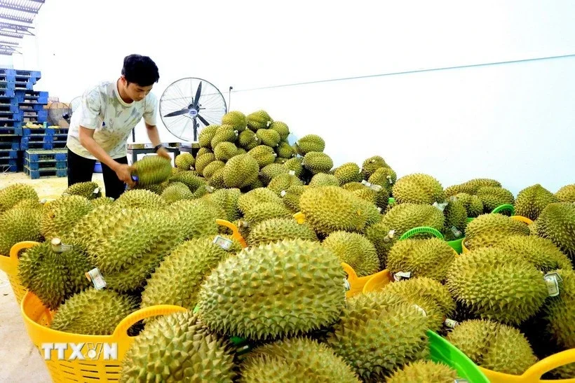 Lâm Đồng: Dữ liệu số trở thành nguồn lực tăng trưởng mới — Câu chuyện từ 'pháo đài số' cấp xã