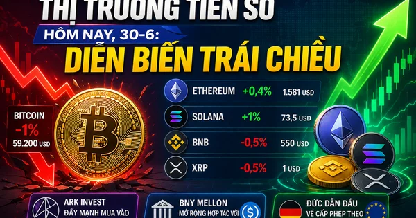 Thị trường tiền số 30-6: Áp lực điều chỉnh và động thái tích cực từ ARK Invest
