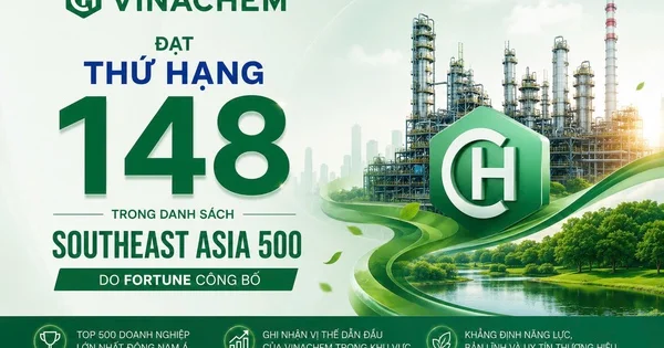 Vinachem trong top 500 Đông Nam Á: Tín hiệu cạnh tranh từ ngành hóa chất Việt Nam