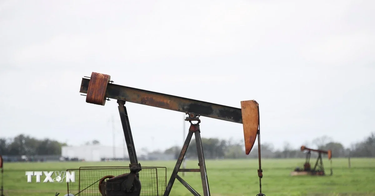 Áp lực nguồn cung từ đàm phán Mỹ - Iran: Giá dầu Brent mất 1,68 USD/thùng
