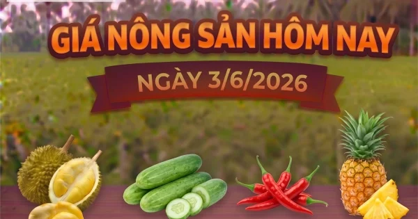 Biến động giá nông sản ngày 3/6: Ớt tăng mạnh, sầu riêng giữ đỉnh, dưa leo lập kỷ lục