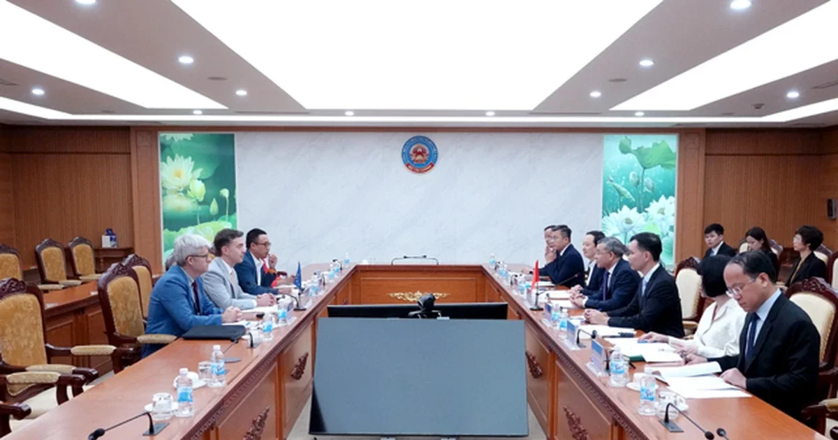 Kết nối nguồn lực Việt Nam – EU: Định hướng phát triển bền vững và những ẩn số dòng vốn