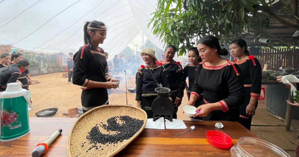 Chiến lược 'Thủ phủ cà phê ngon nhất thế giới' của Đắk Lắk: Bài toán nâng chuỗi giá trị nông sản và áp lực EUDR