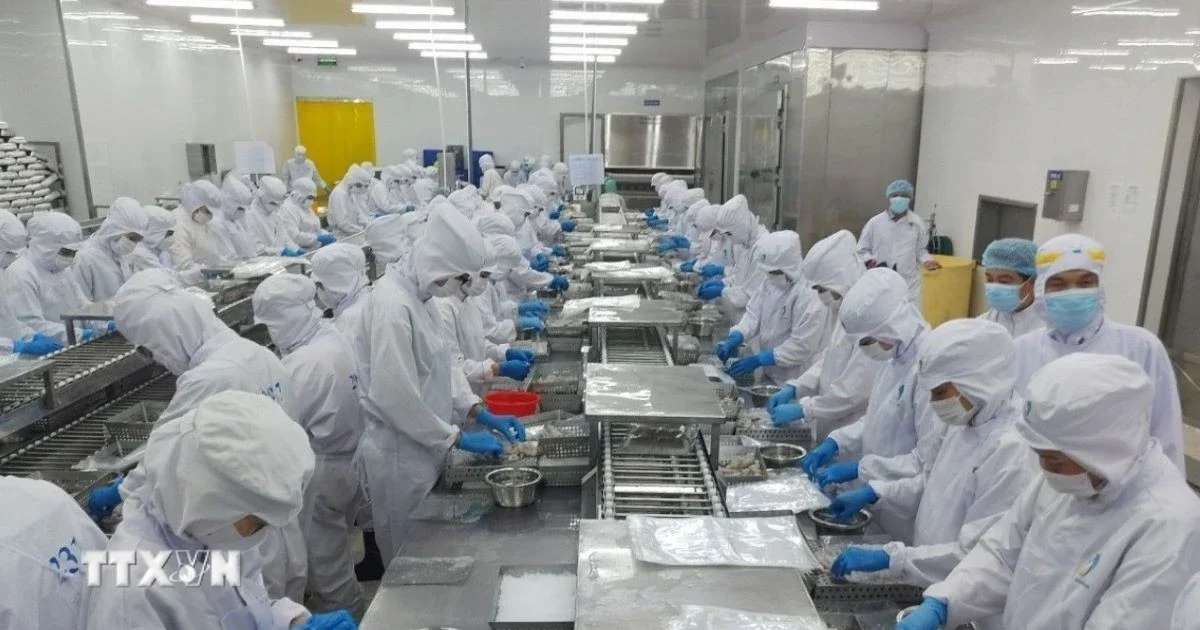 Thủy sản Việt Nam trước bài toán giữ thị phần ở thị trường Hoa Kỳ: Áp lực thuế, quy định và sự phân hóa dòng hàng
