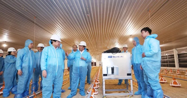 Dự án DHN Tây Ninh 2: Mở rộng quy mô chăn nuôi công nghệ cao - Tác động đến chuỗi giá trị nông nghiệp và dòng vốn đầu tư