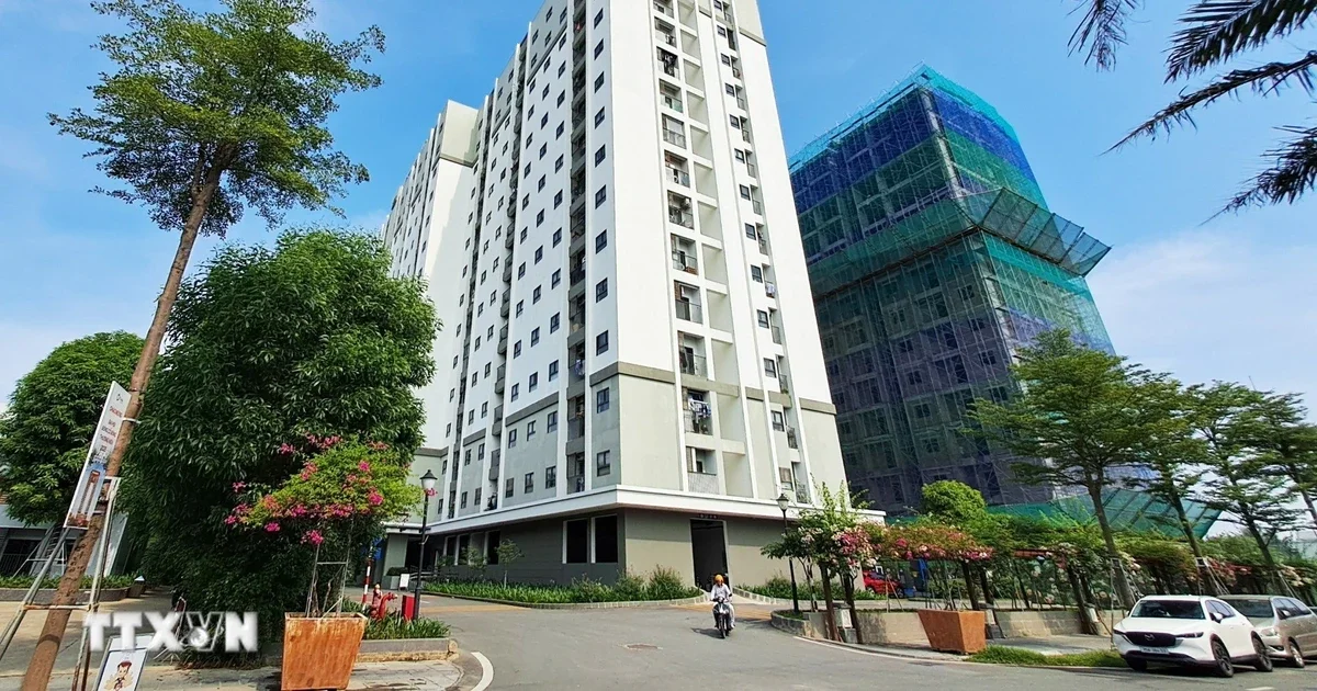 Từ tín hiệu chính sách nhà ở cho thuê: Áp lực điều chỉnh dòng vốn và cấu trúc thị trường bất động sản