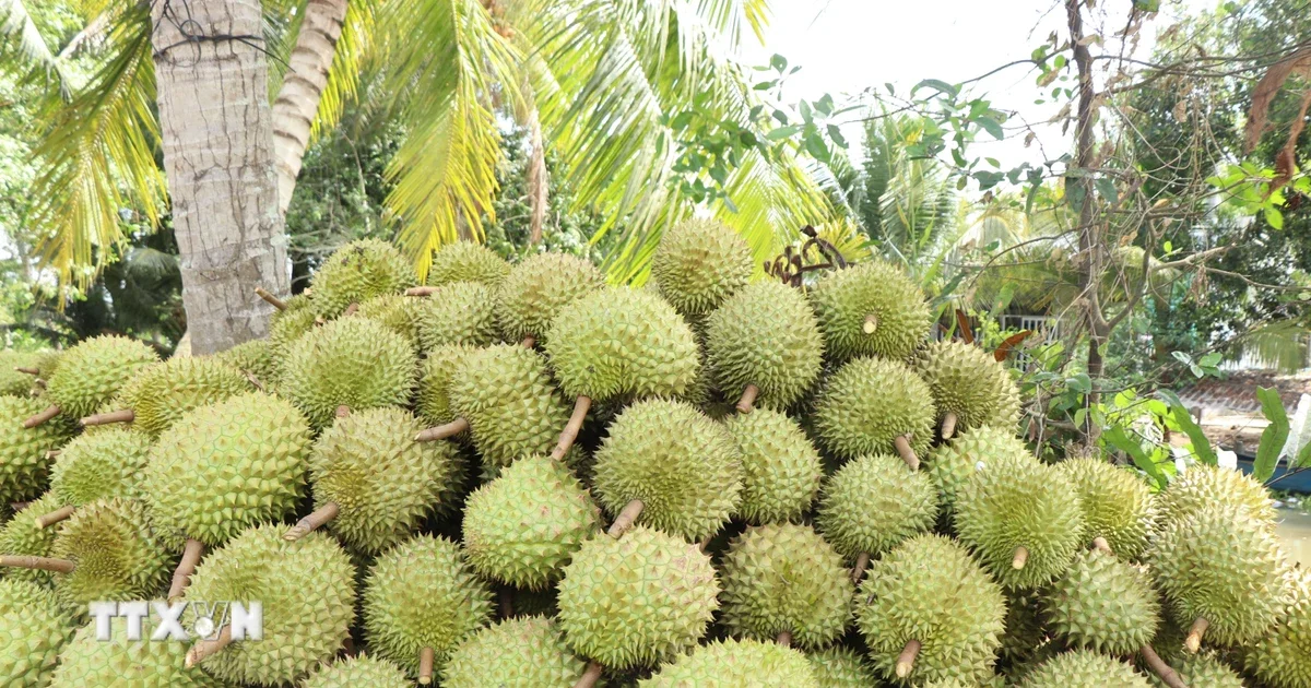 Muốn giữ thị trường Trung Quốc, nông sản Việt buộc phải chuyển từ sản lượng sang chất lượng