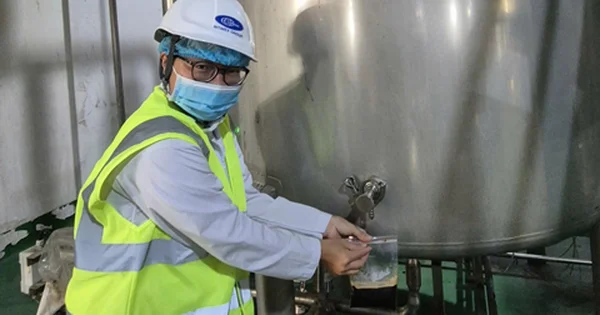 Giá cà phê hạ nhiệt: Từ tâm lý găm hàng đến áp lực nguồn cung và bài toán chế biến sâu
