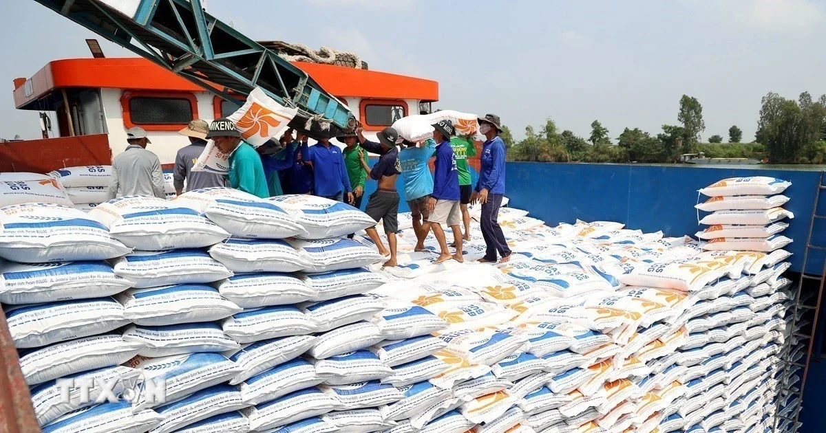 Xuất khẩu gạo 5 triệu tấn, giảm giá trị 3,3%: Áp lực chi phí logistics và biến động giá toàn cầu