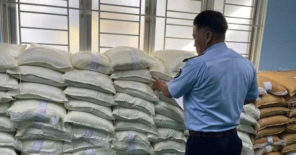 Từ 2 quyết định của Bộ Công Thương: Nhìn về cơ chế phòng vệ ngành mía đường và dòng chảy thương mại