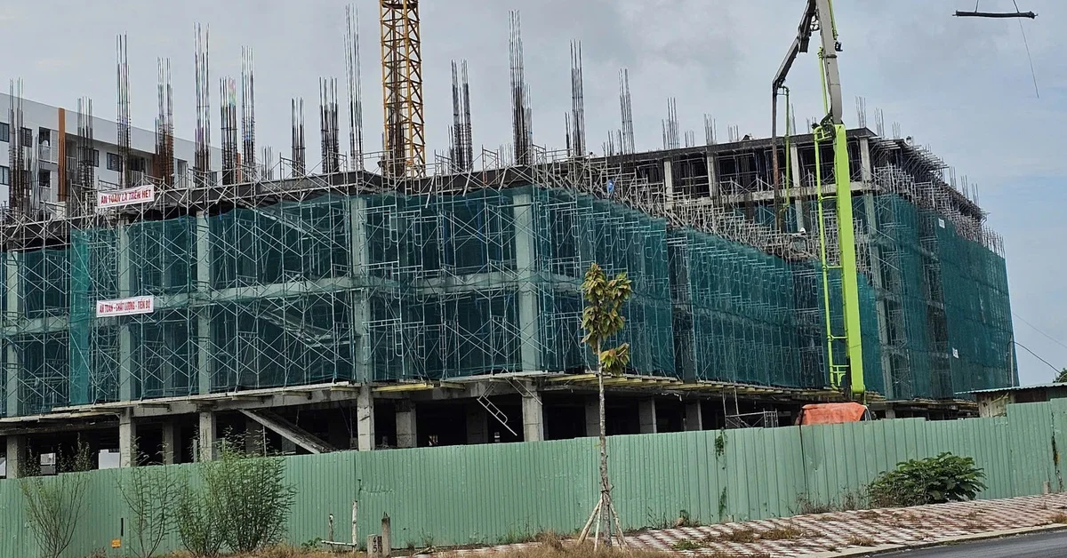 Từ chỉ tiêu 3.000 căn NOXH của Chính phủ đến thực tế Cần Thơ: Bài toán thanh khoản và dòng vốn tín dụng