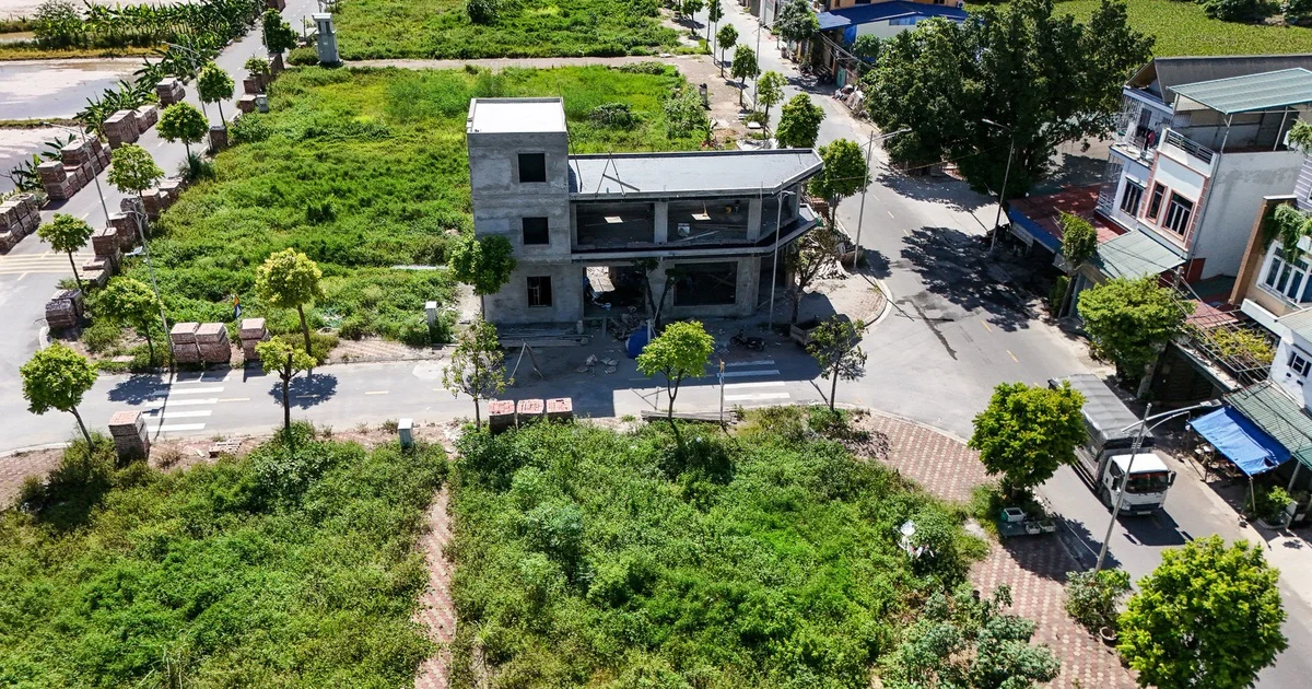 Từ 'điểm nóng' đấu giá đất ven Hà Nội đến thực trạng đất bỏ trống: Bài học về thanh khoản và tâm lý đầu cơ