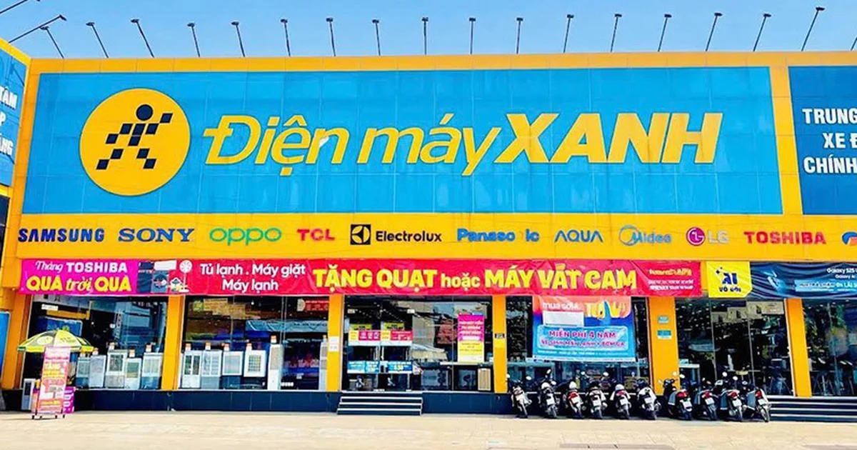 Từ IPO không bán hết cổ phiếu của Điện Máy Xanh: Áp lực thanh khoản và tín hiệu từ dòng vốn tổ chức