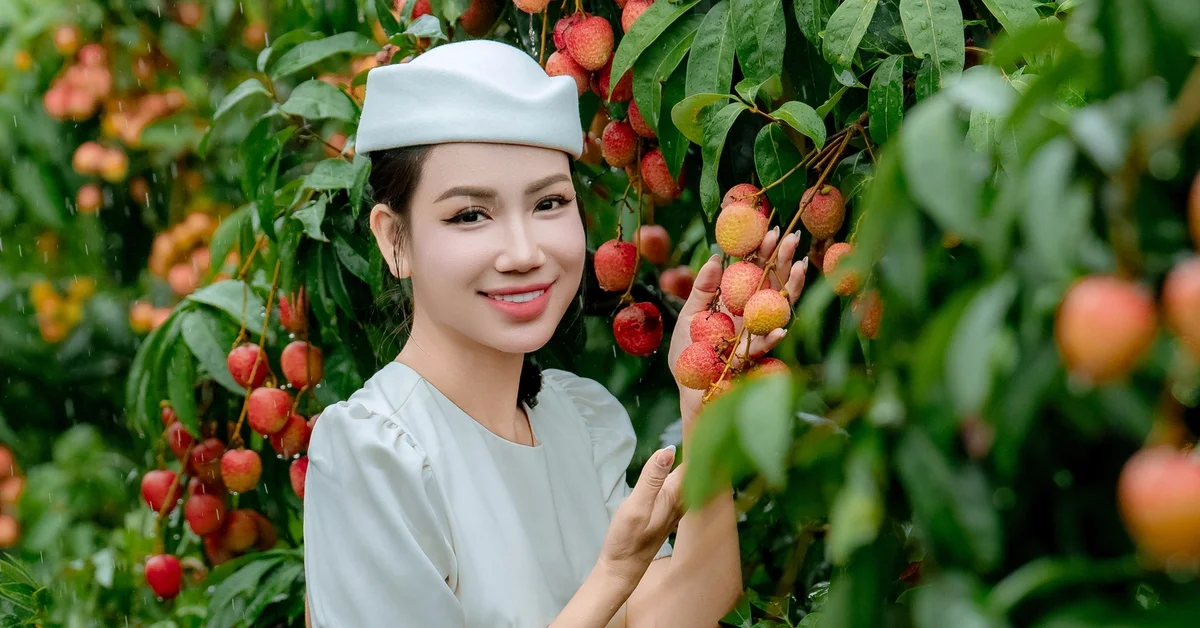 Giá vải thiều tăng mạnh: Tác động đến thị trường hàng hóa và dòng tiền đầu cơ