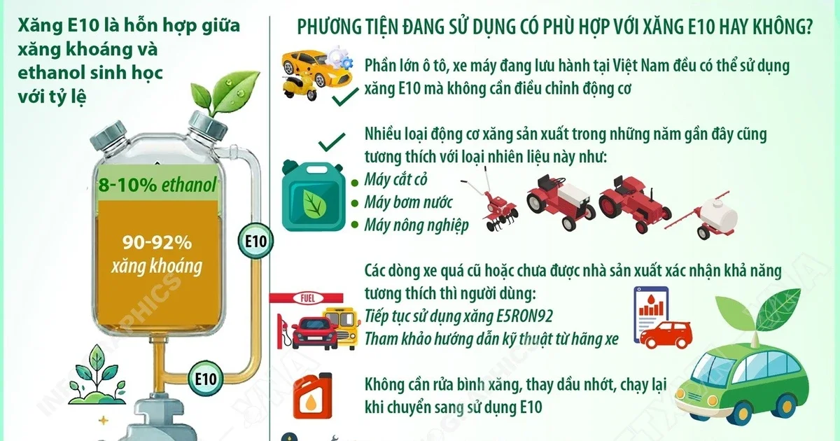Xăng sinh học E10: Bước chuyển năng lượng và tác động đến thị trường nhiên liệu Việt Nam
