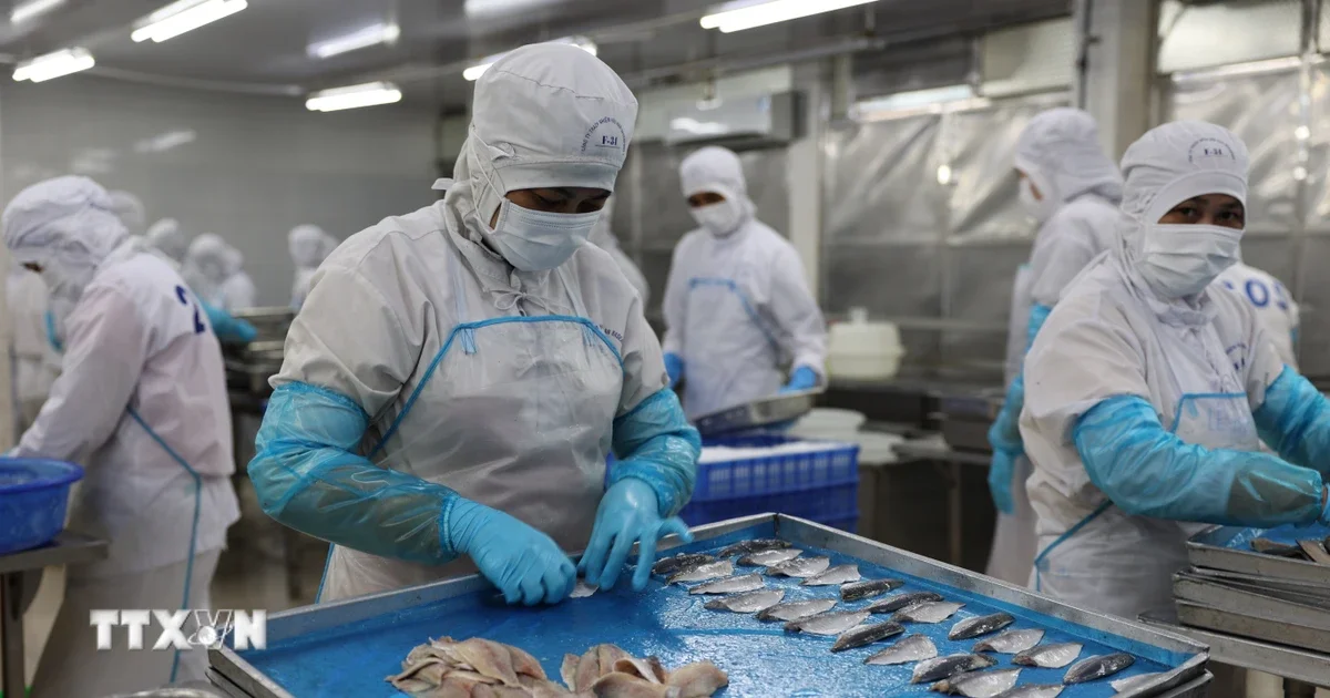 Thương mại Việt Nam-Israel hướng tới mốc 4 tỷ USD: Tín hiệu dòng vốn và chiến lược xuất khẩu dưới tác động của VIFTA